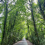 Walk to Keswick
